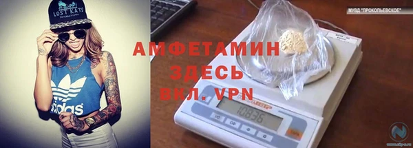 крисы Каменногорск