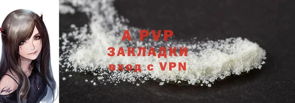 крисы Каменногорск