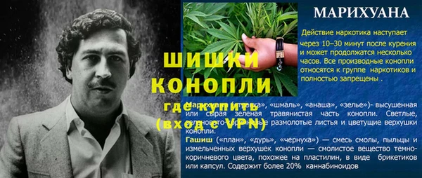 прущая мука Каменка
