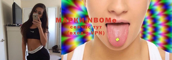 крисы Каменногорск