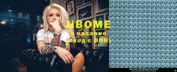 крисы Каменногорск