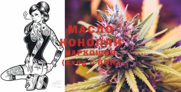 крисы Каменногорск