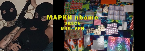 крисы Каменногорск