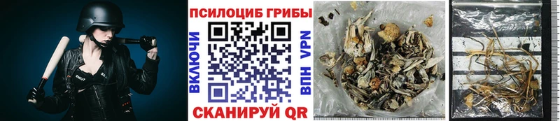 Купить закладки  Богородск  Галлюциногенные грибы MAGIC MUSHROOMS 